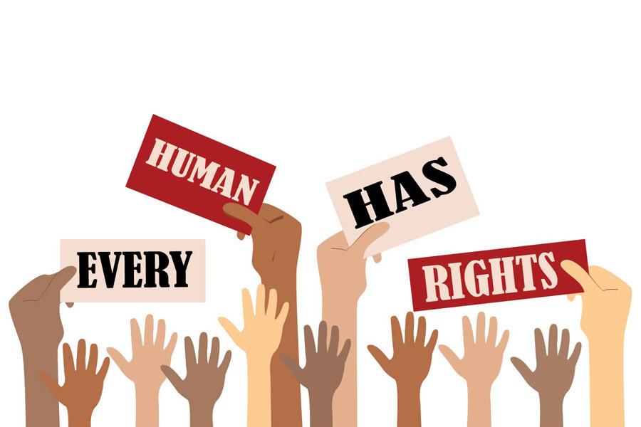 essay-example-of-human-rights-blog-that-helps-in-education