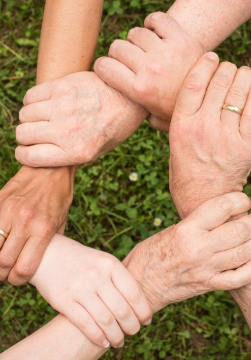 ground-group-growth-hands-461049-1024x829